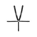 Sparco Club H-4R 5-point Harness without FIA Black-1