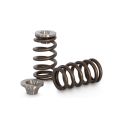 Ventilové pružiny Beehive a titanové misky Kelford Cams Suzuki Swift