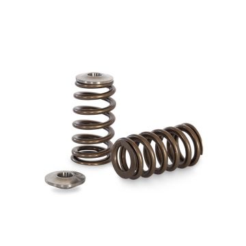 Ventilové pružiny Beehive a titanové misky Kelford Cams Harley V-Rod