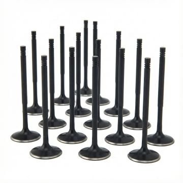 ZRP standardní sací ventily Black Nitride pro Audi VW Volkswagen 4.2L R8 32V FSI