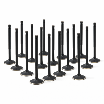 ZRP standardní sací ventily Black Nitride pro Lamborghini 5.2L Gallardo Huracan 2008-