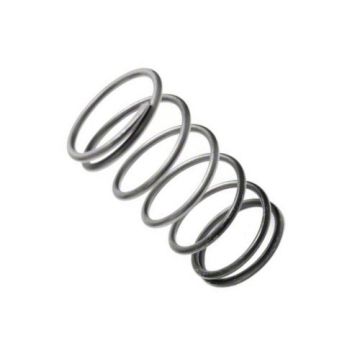 Ventilová pružina WG 35 i 38mm 0,5 Bar