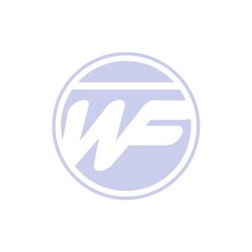 Conical Bolt D16.4 L125 Wisefab WF036_901