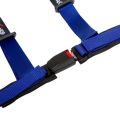 DriftShop 4 Point Harness 2