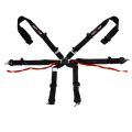 DriftShop ExtraBalls 6 Point Harness Black FIA Approved 8853