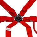 DriftShop ExtraBalls 6 Point Harness Red FIA Approved 8853