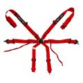 DriftShop ExtraBalls 6 Point Harness Red FIA Approved 8853