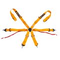 DriftShop 6 Point Harness Orange FIA Approved 8853