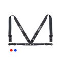 Sparco Sedan Harness 4-Point Blue FIA Approved up to 2029