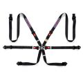 Sparco Martini Racing Harness Black FIA Approved 8853-2016 up to 2028