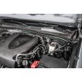 Dual Catch Can Kit for Toyota Tacoma 05-23 Fluid Lock Radium Engineering-3