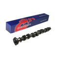 Tuning Intake Camshaft Swiatek for BMW 1.8 IS M42 B18 Stage GT/R-1