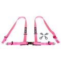 DriftShop 4 Point Harness 2