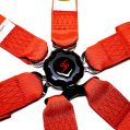 DriftShop 6 Point Harness Red FIA Approved 8853-3