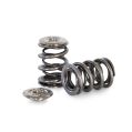 Dvojité ventilové pružiny a titanové misky Kelford Cams Honda B16A B18C-1