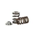Ventilové pružiny a misky Kelford Cams Ford 2.0l-1