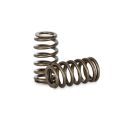 Ventilové pružiny Beehive Kelford Cams Ford Duratec 2.0L-1