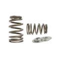 Ventilové pružiny Beehive a titanové misky Kelford Cams Honda K/F K20A2-1