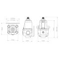 Nuke Performance Fuel Pressure Regulator FPR100s AN-6-6
