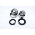 Front differential bearing kit - Iron for BMW -1