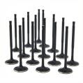 ZRP standardní sací ventily Black Nitride pro Audi VW Volkswagen 4.2L R8 32V FSI-1