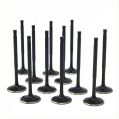 ZRP Std standardní sací ventily Black Nitride pro BMW 3.2L S50 S54-1