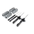 RacingLine Sport Spring Damper Kit A5-Platform for VW Scirocco 55mm strut-1