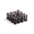 Stiffer Valve Springs RTMG Performance for 1.4 TSI EA111-1