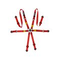 GT2I Sedan Harness Pro V3 FIA Approved 8853-2016-1