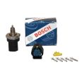 BOSCH dual sensor Ecumaster-1
