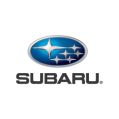 Zátka chladiče Subaru OEM, Legacy (IV) / Outback 3.0L H6-1