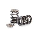 Dvojité ventilové pružiny a titanové misky Kelford Cams Nissan RB30E SOHC-1