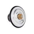 Termostat Mishimoto Performance 74C/165F-2