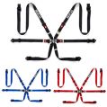 Sparco Harness 6-Points 2