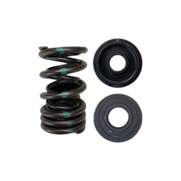Dual Spring Steel Retainer Kit BC Brian Crower BC0040S Honda K20A/K20Z ...